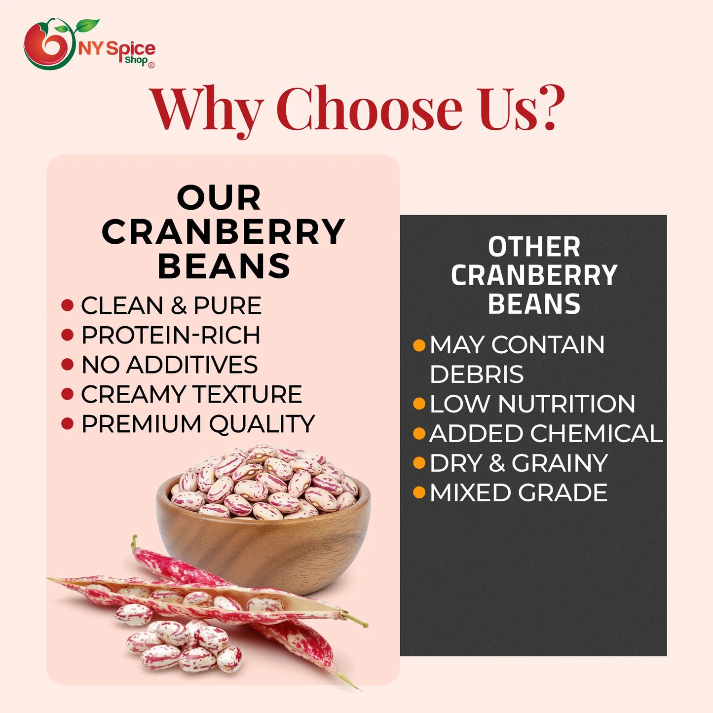 Cranberry Beans - NY Spice Shop