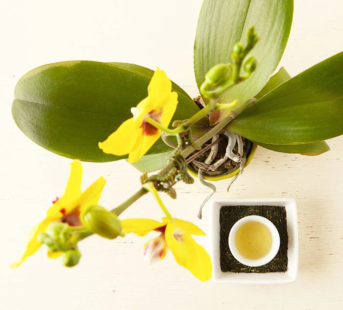 Japanese Orchid Sencha - NY Spice Shop