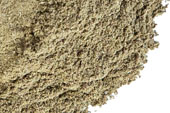 Basil Powder