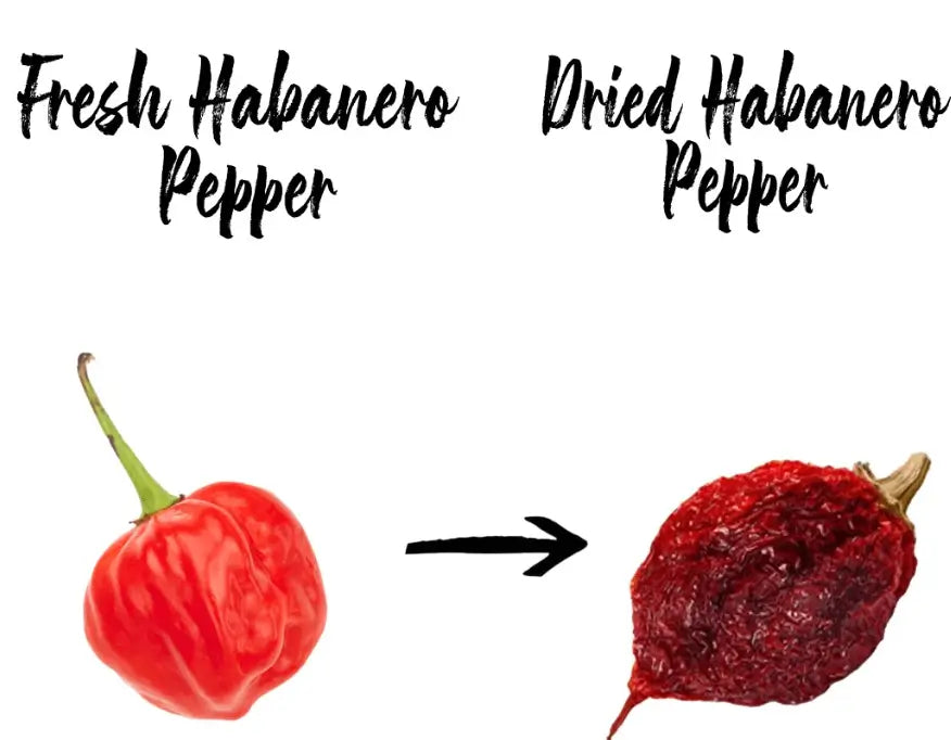 Habanero Chili, Dried - NY Spice Shop
