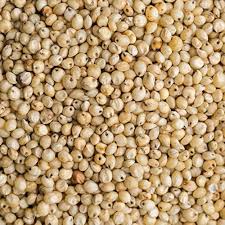 White Sorghum Seeds (Jowar)