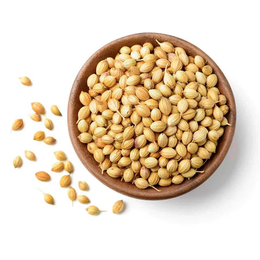 Coriander_Whole - NY Spice Shop