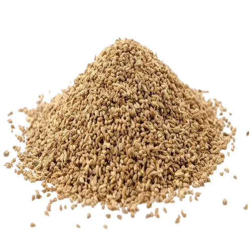 Ajwain seeds - Ajowan Caraway, Thymol Seeds NY SPICE SHOP