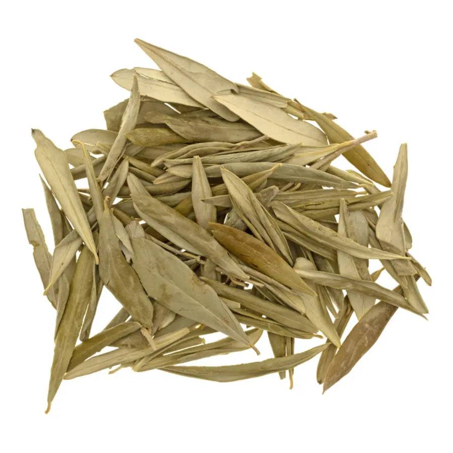 Olive Leaf Whole - (Olea Europaea) - NY Spice Shop