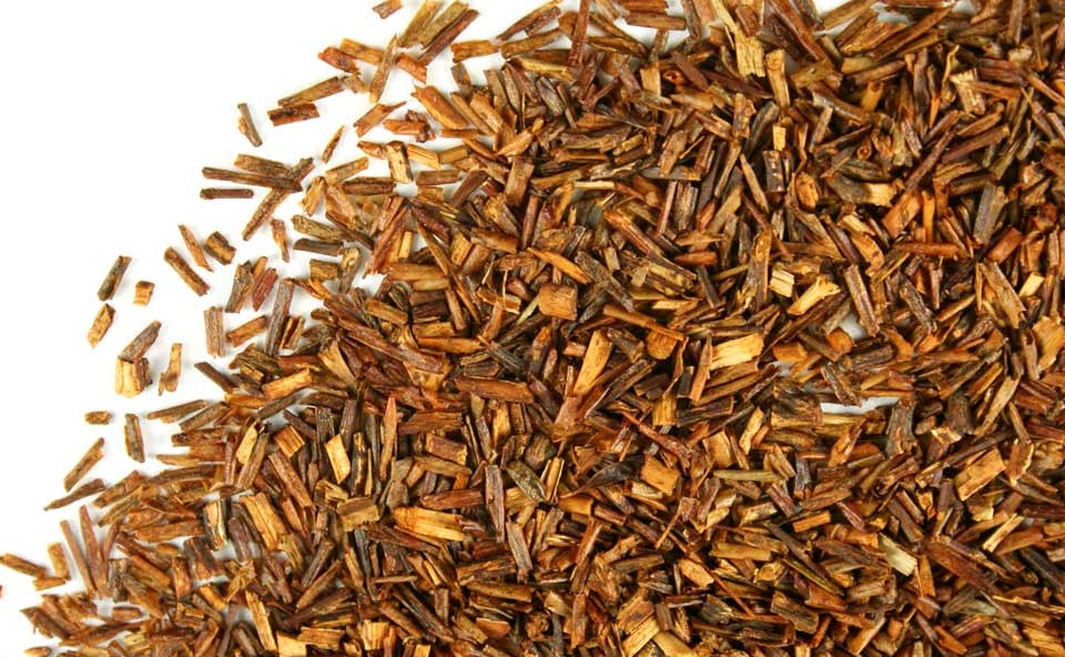 rooibos tea plant seeds Rooibos Tea (Aspalathus linearis) - NY Spice Shop