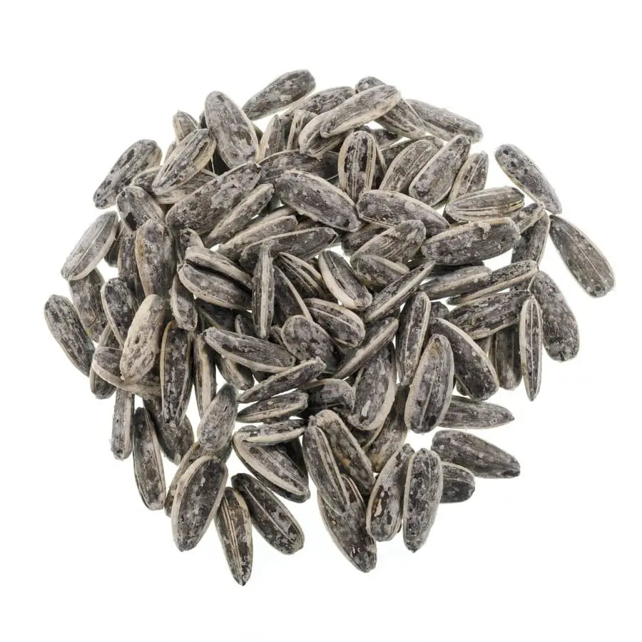 sun flower seeds for sale Sunflower Seeds