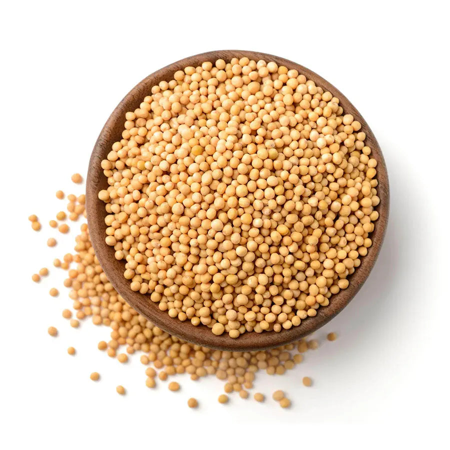 Yellow_Mustard_Seeds_Sarso_Whole - NY Spice Shop
