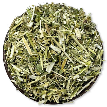 Bugleweed Herb c/s - Wildcrafted - NY Spice Shop