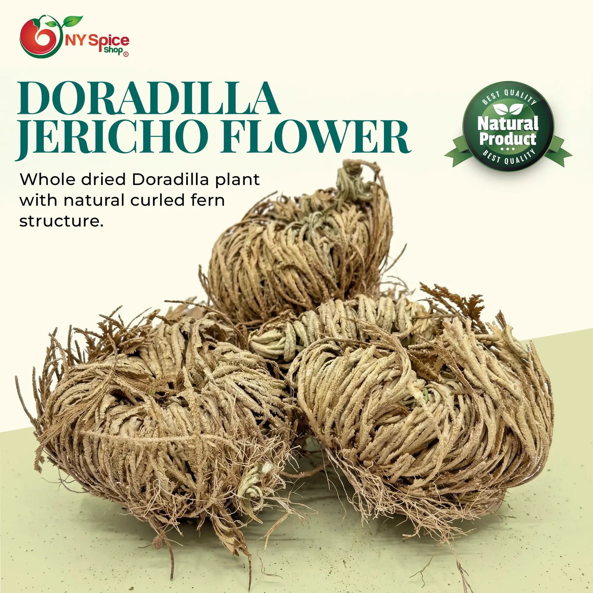 Doradilla - NY Spice Shop