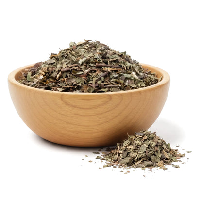 Lemon Balm - Cut & Sifted
