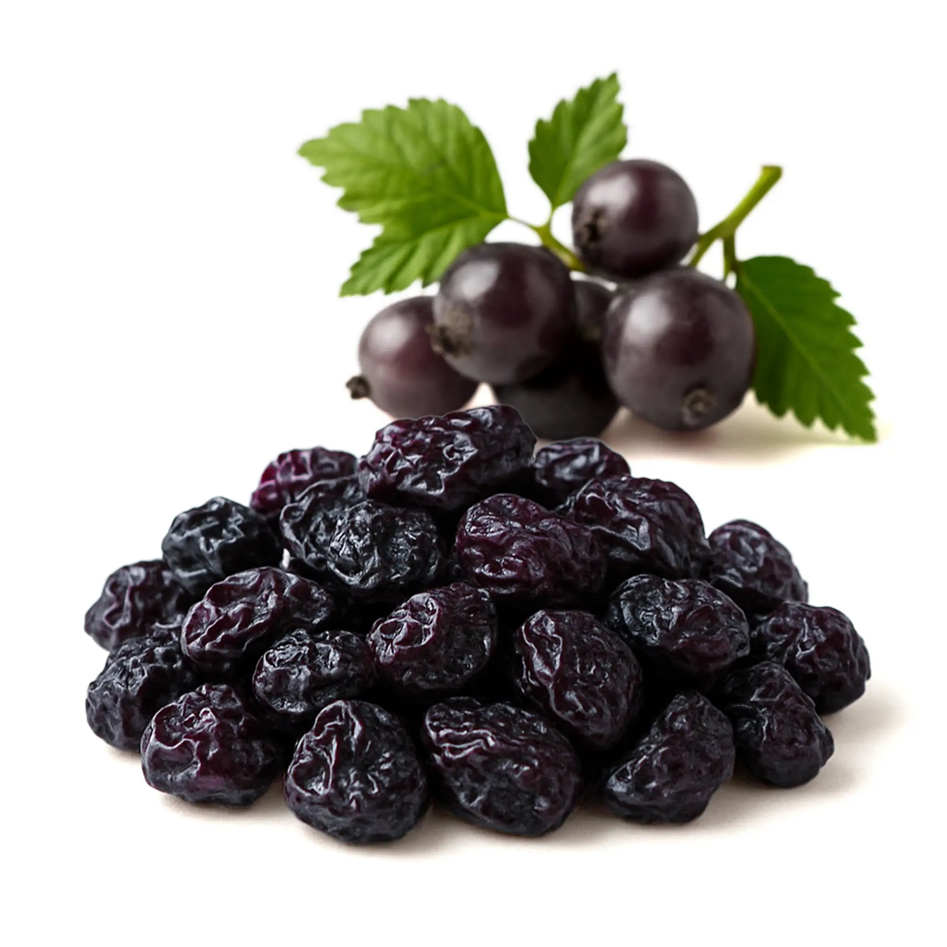 Dried Currants - NY Spice Shop