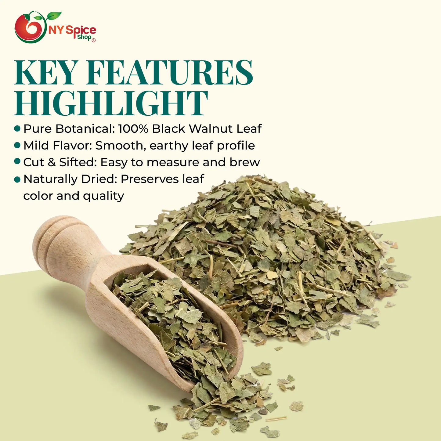 Black Walnut Leaf - C/S