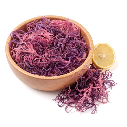 Irish Sea Moss - (Purple) - St. Lucia