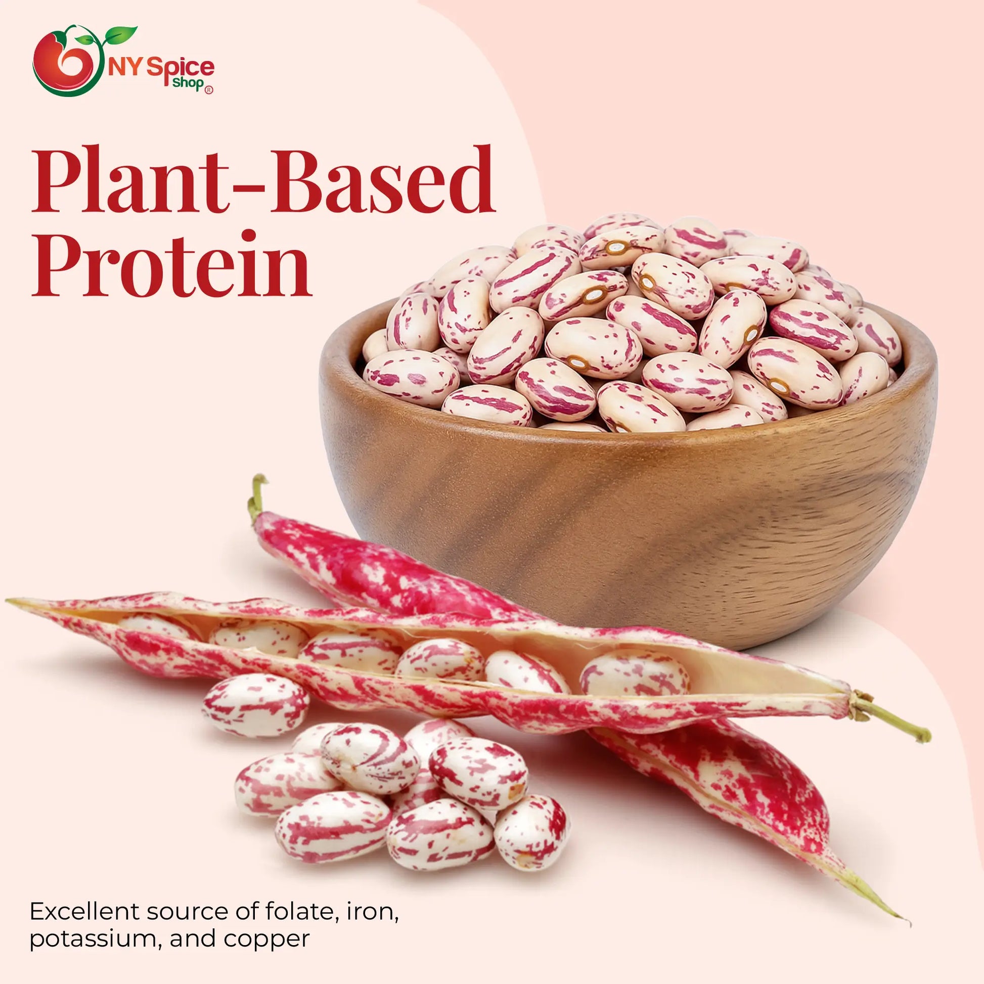 Cranberry Beans - NY Spice Shop