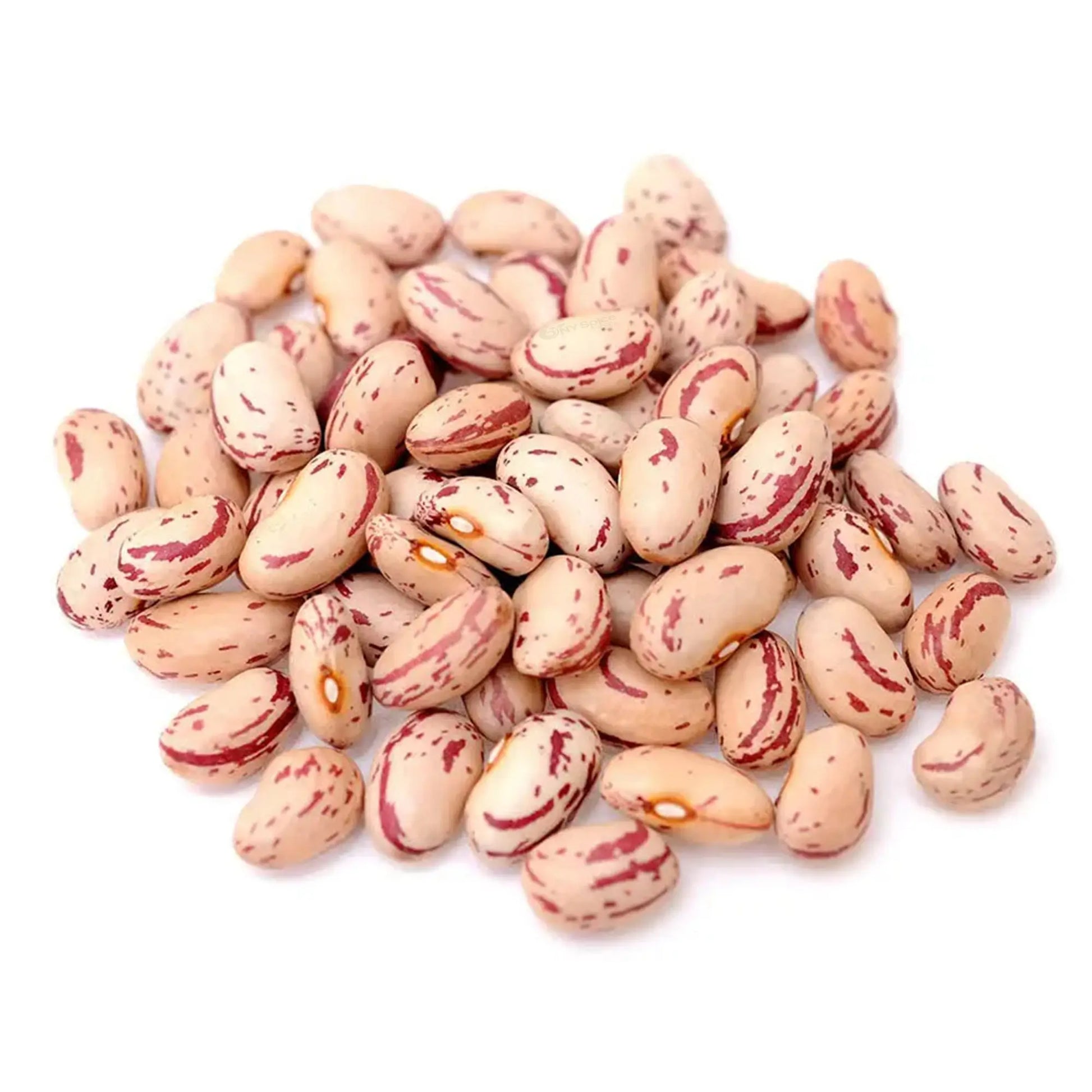 Cranberry Beans - NY Spice Shop