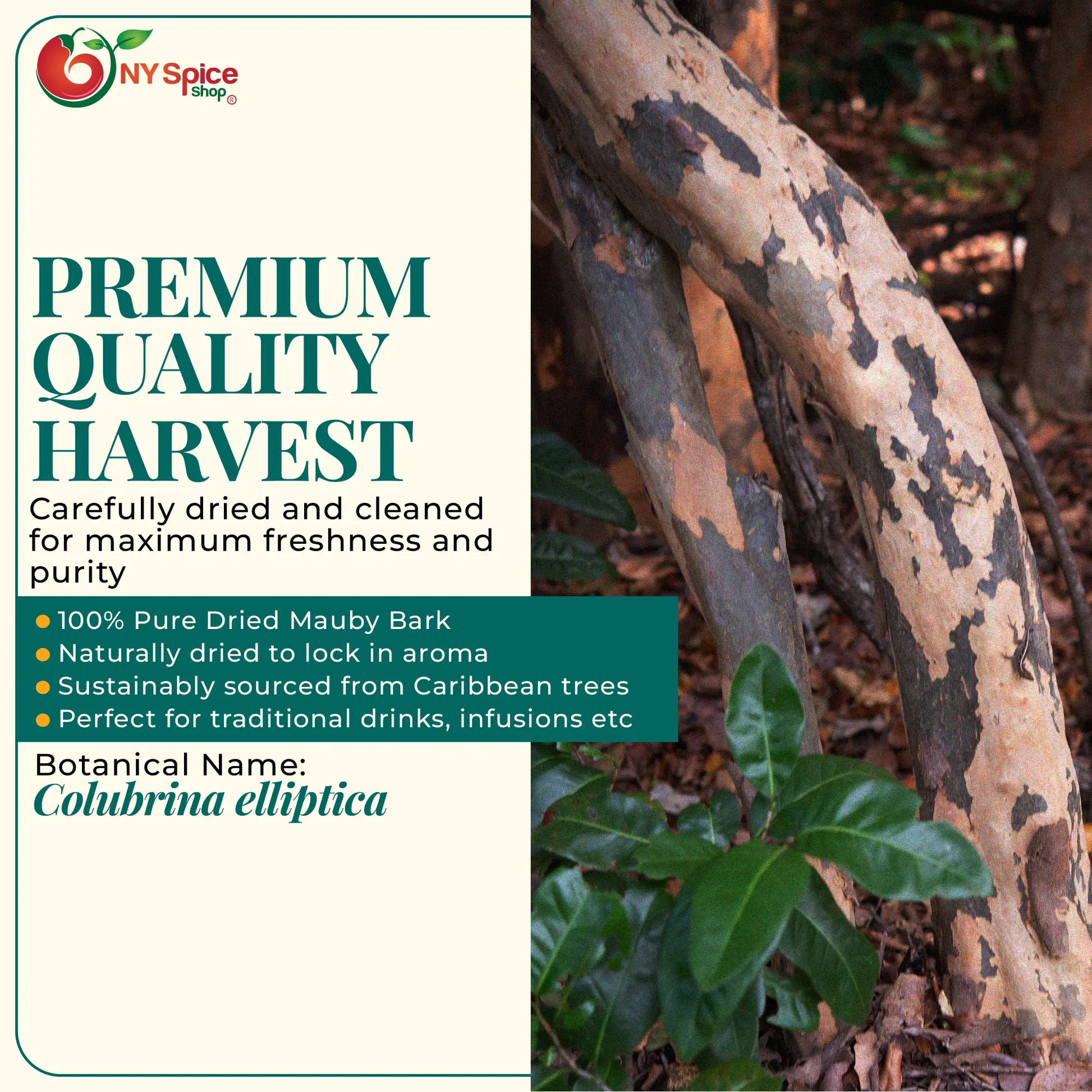 Mauby Bark - NY Spice Shop