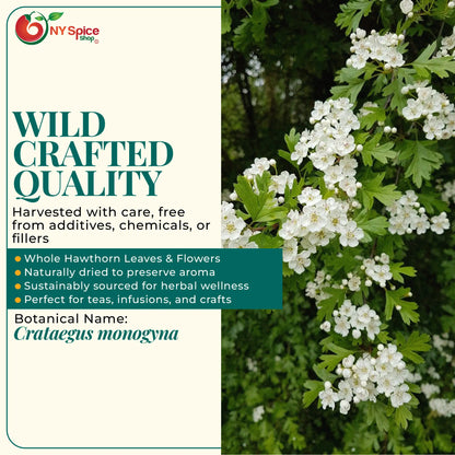 Hawthorn Leaf & Flower - Wild Crafted - NY Spice Shop