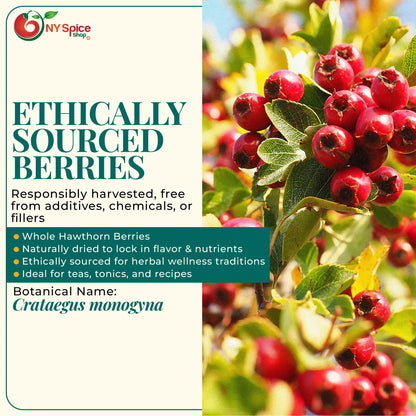 Hawthorn Berry - NY Spice Shop