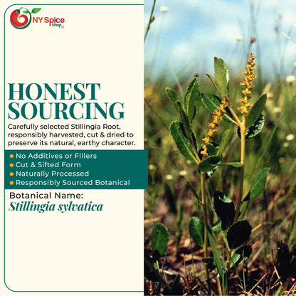 Stillingia Root - NY Spice Shop