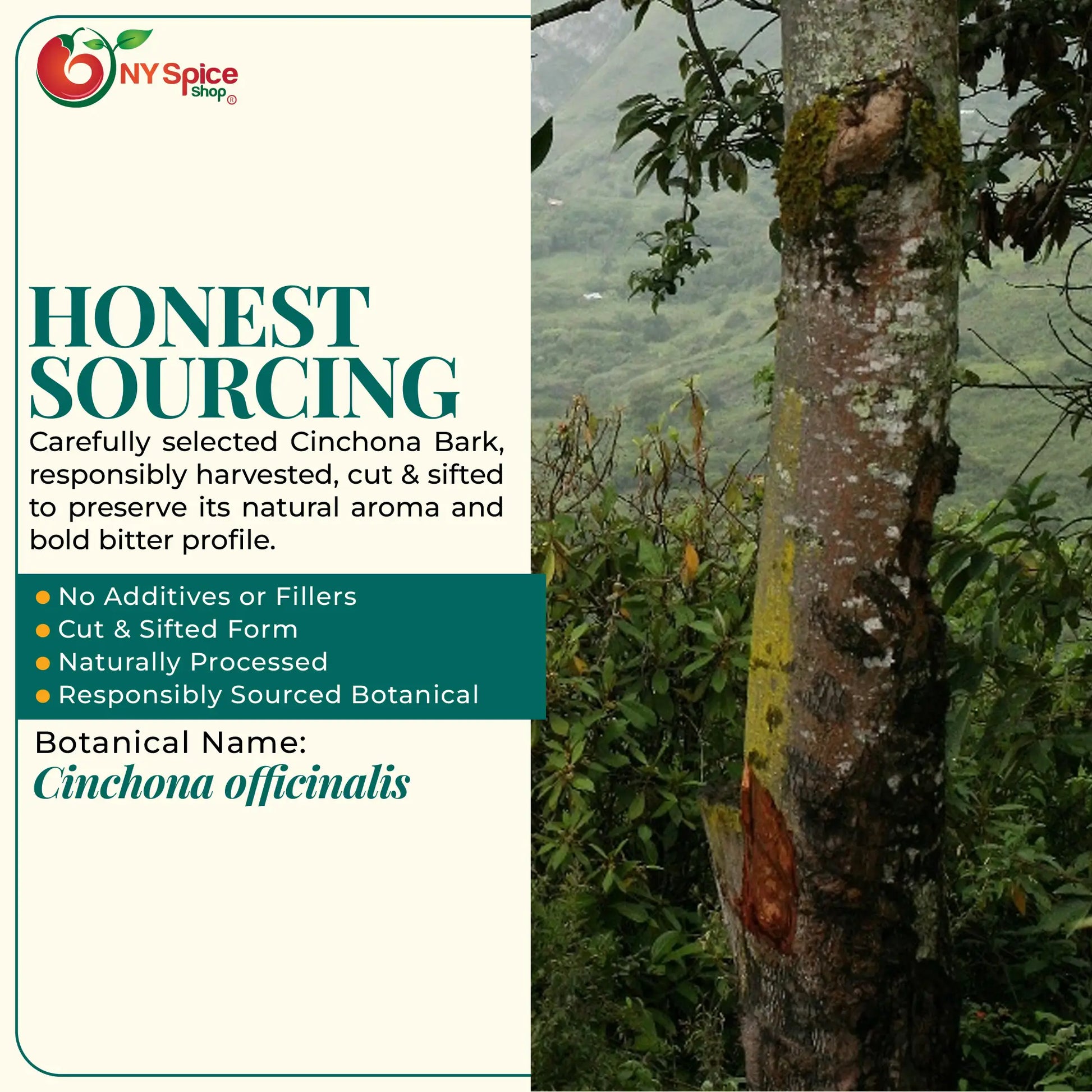 Cinchona Bark - Cut & Sifted - NY Spice Shop