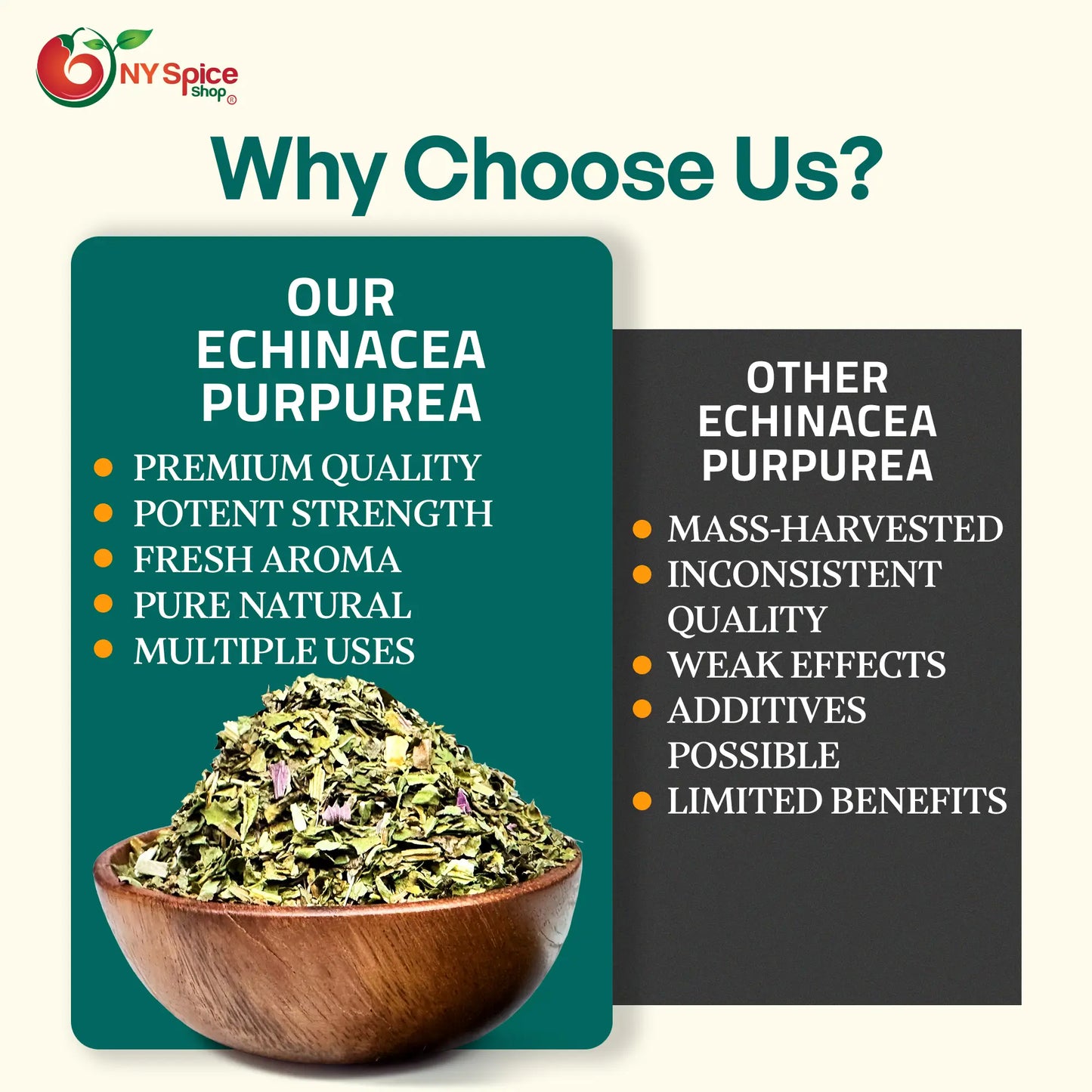 Echinacea purpurea Herb -NY Spice Shop