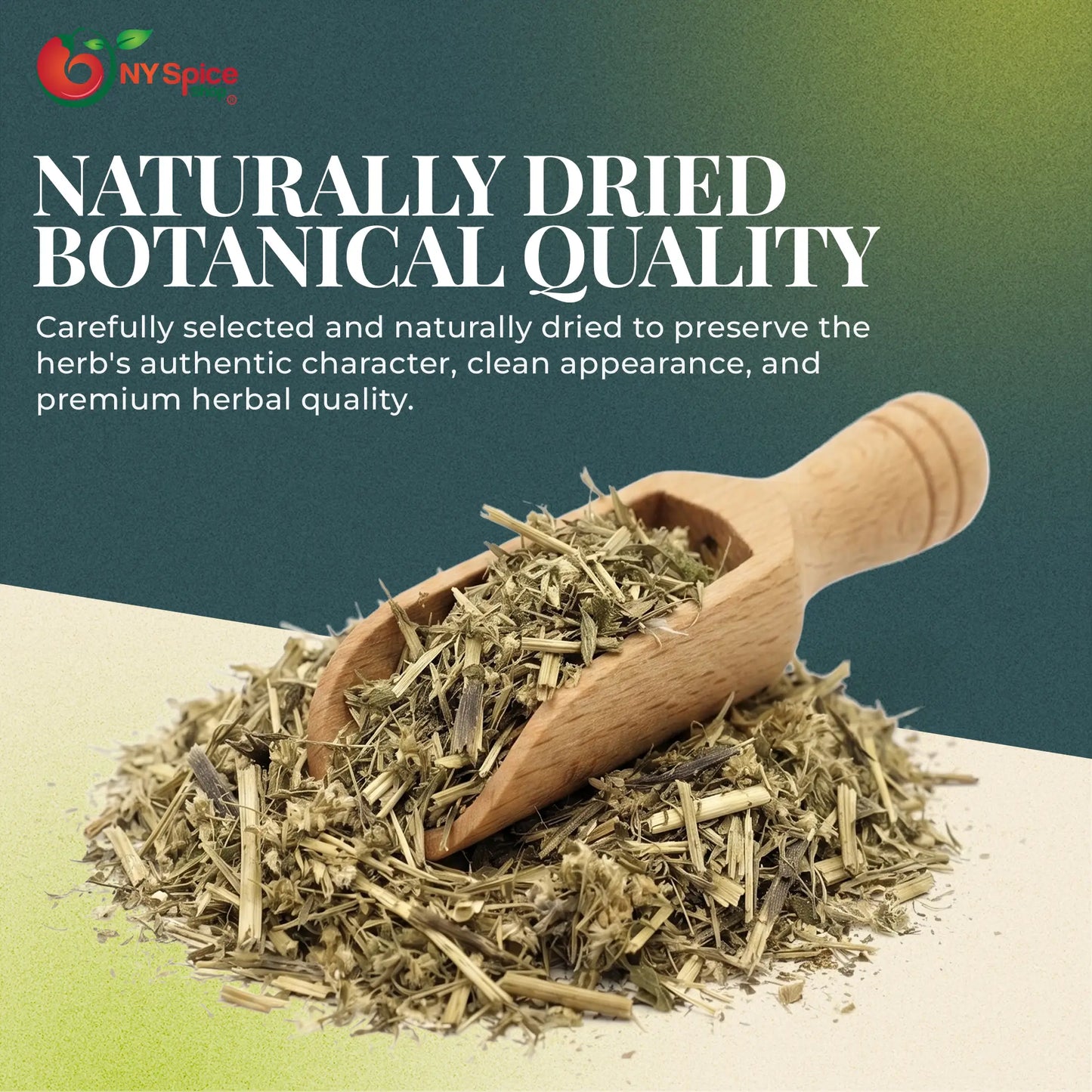 Boneset Herb (Eupatorium Perfoliatum) Cut & Sifted