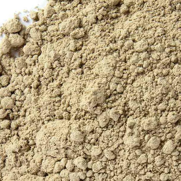 Angelica Root Powder - NY Spice Shop