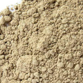 Angelica Root Powder