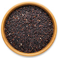 Black Thai Rice - Purple Sticky