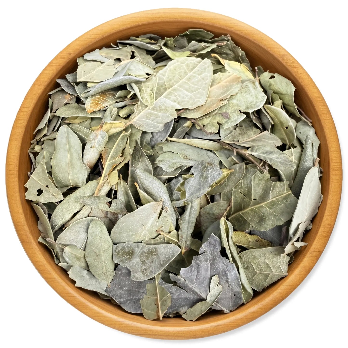 Boldo Dried Leaves