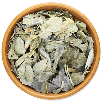 Boldo Dried Leaves