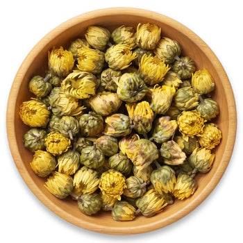 Chrysanthemum Golden Buds