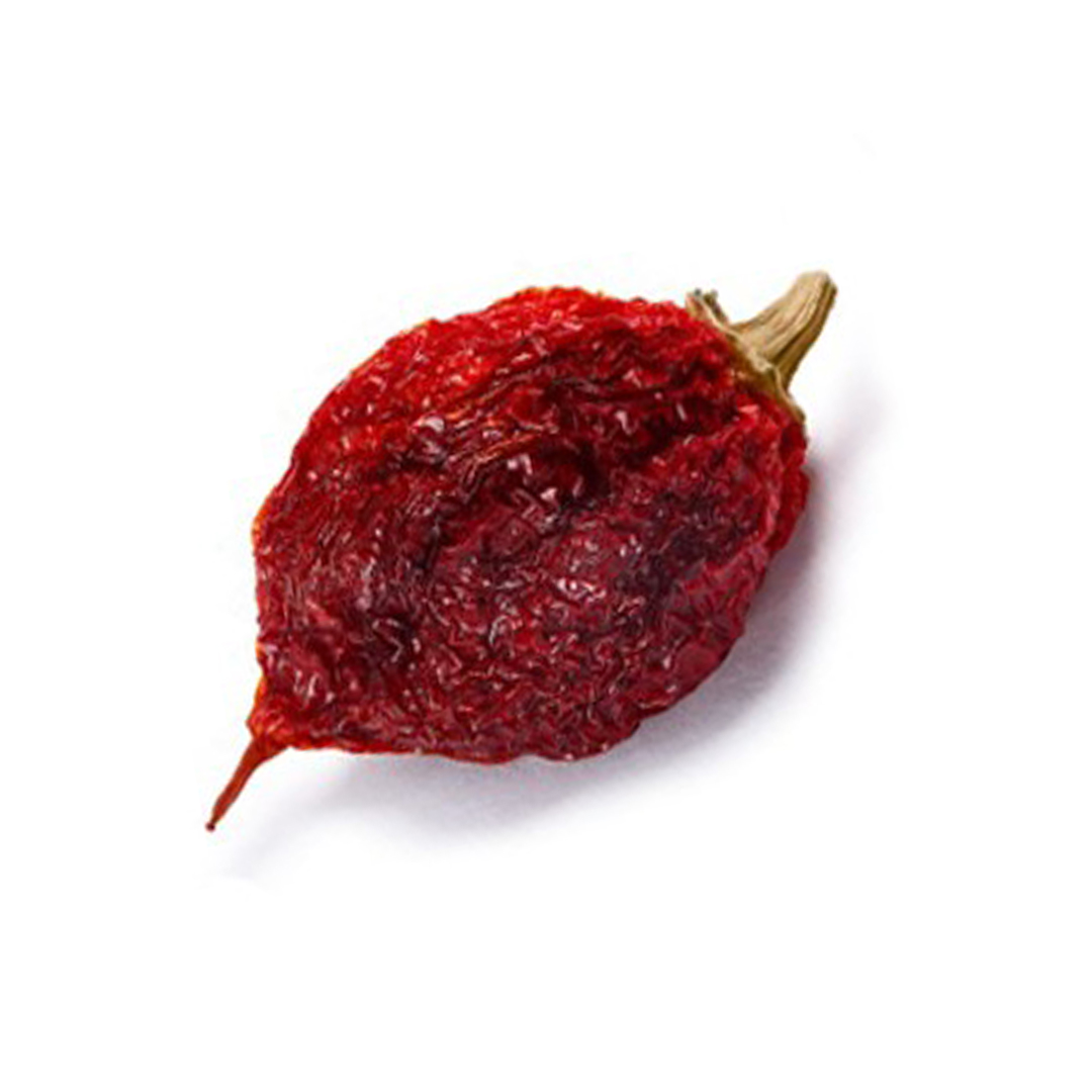 Carolina Reaper Chile - NY Spice Shop