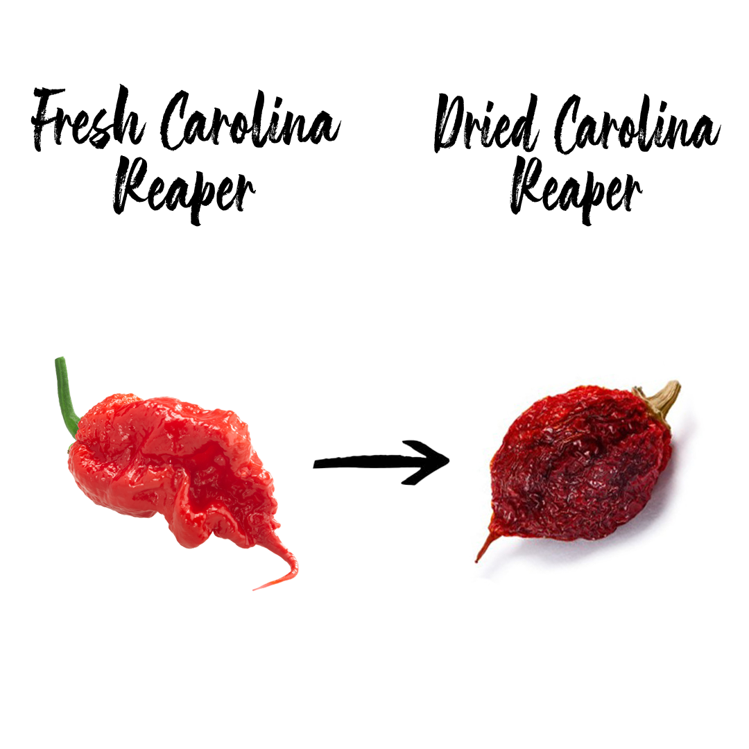 Carolina Reaper, Scorpion, Ghost & Habanero Chillies