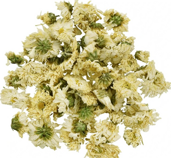 Chrysanthemum Flowers Whole - NY Spice Shop