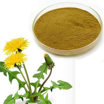 Dandelion Root Powder - NY Spice Shop