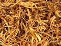 Dried Lily Flowers