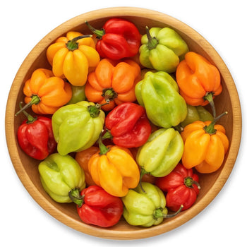 Fresh Scotch Bonnet Peppers