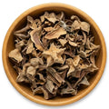 Flor de Manita (Chiranthodendron pentadactylon)