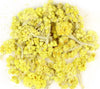 Helichrysum Flowers - NY Spice Shop