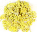 Helichrysum Flowers