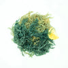 Irish Sea Moss - (Purple) - St. Lucia