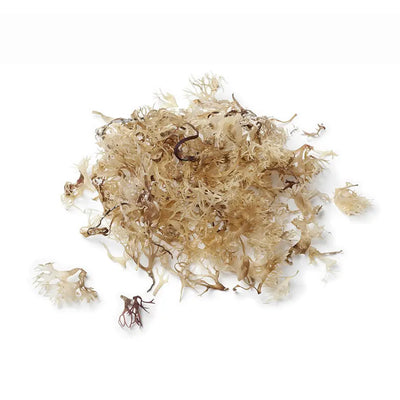 Irish Moss Powder