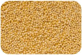 Little Millet, Kutki - (Panicum sumatrense)