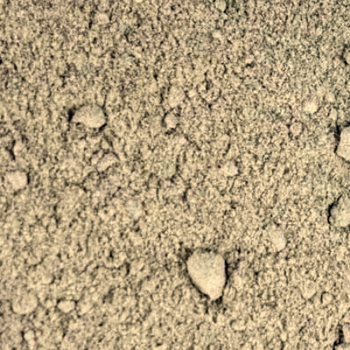 Lobelia Herb Powder - NY Spice Shop