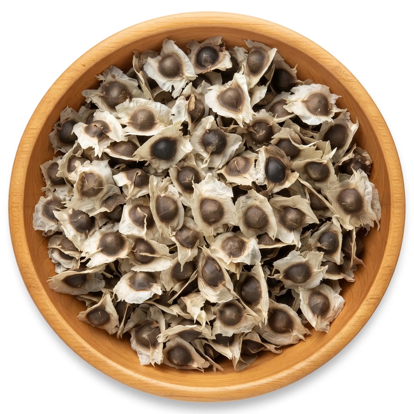 Moringa Seeds