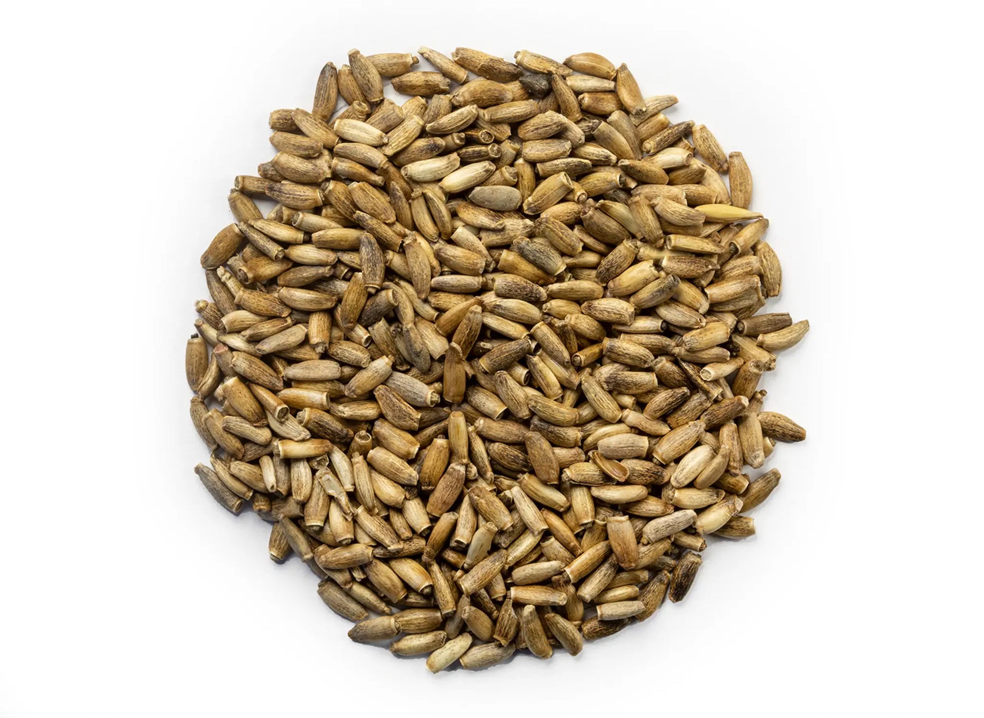 thistle flower seeds Milk Thistle Seed - Whole Seed - NY Spice Shop