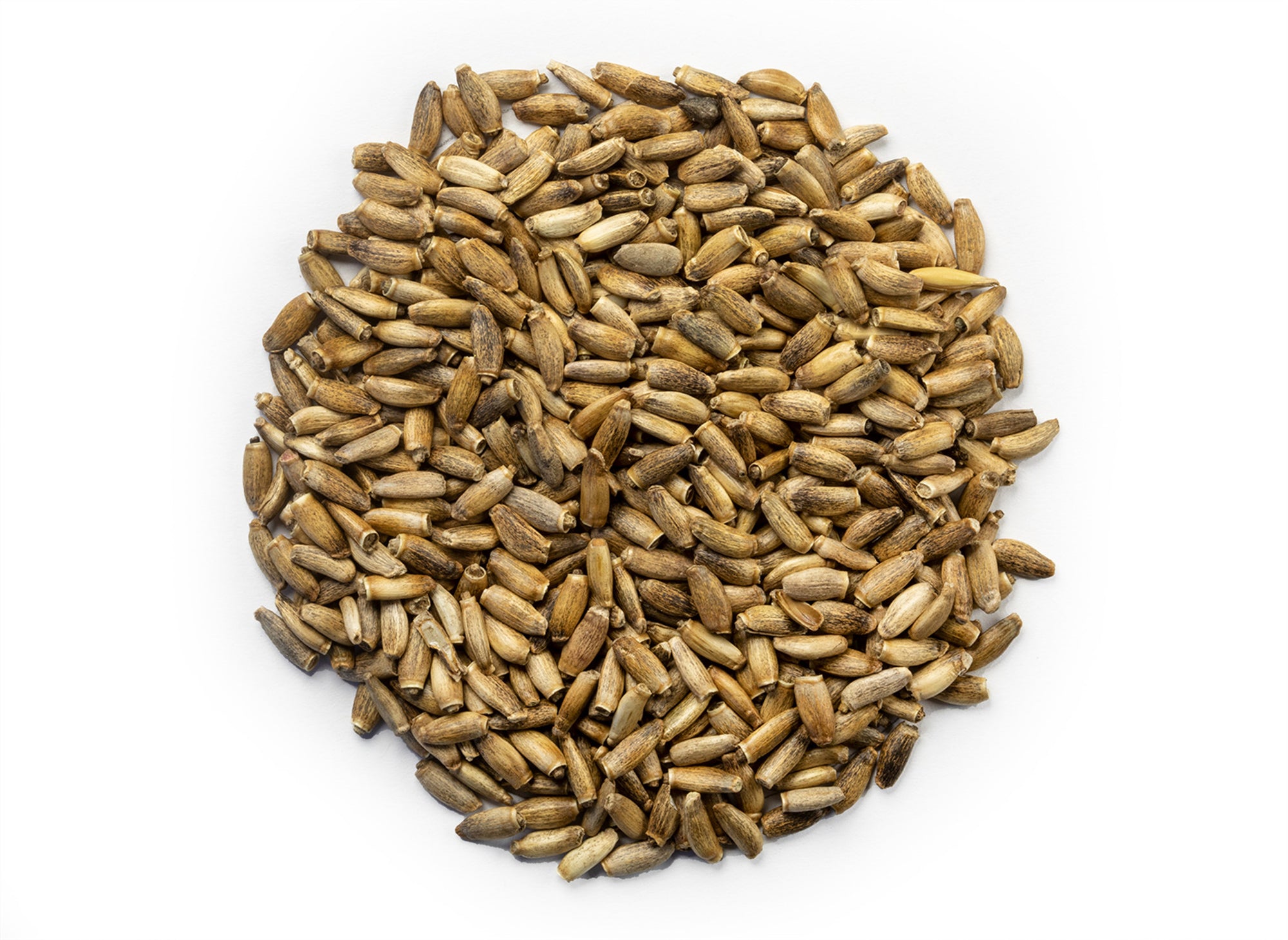 Milk Thistle Seed - Whole Seed - NY Spice Shop