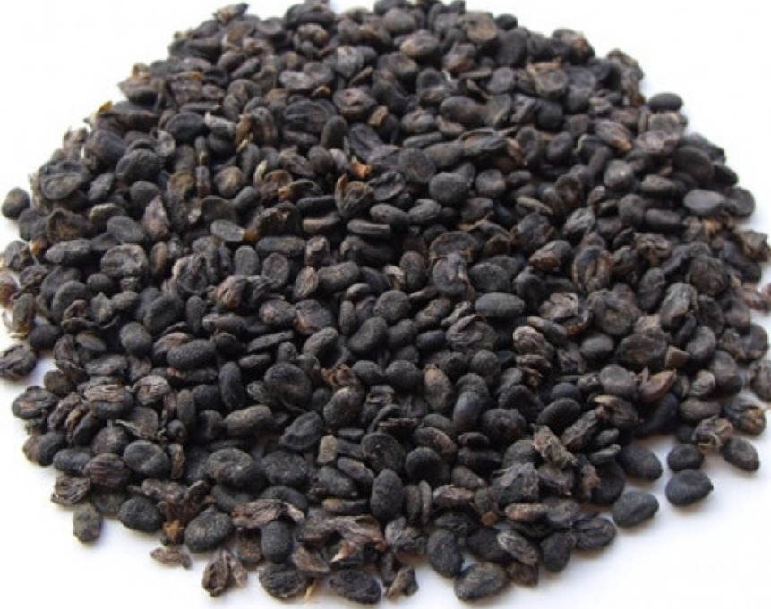 Bu Gu Zhi - Psoraliae Fruit - NY Spice Shop