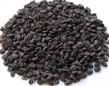 Bu Gu Zhi - Psoraliae Fruit - NY Spice Shop